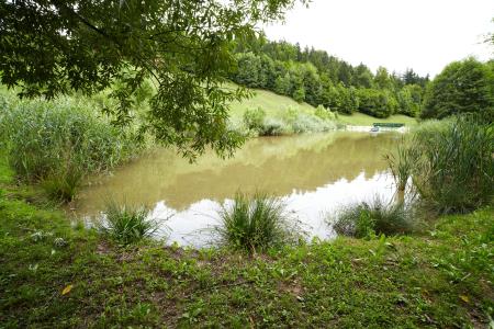 Jezero Zreče (1)